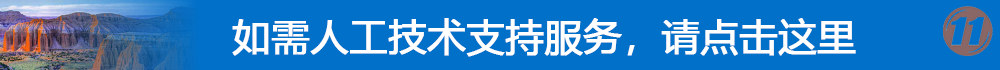 人工支持