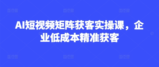 AI短视频矩阵获客实操课，企业低成本精准获客-腾渊网创