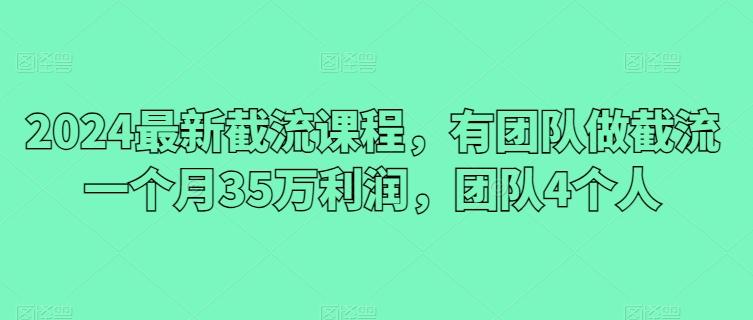 2024最新截流课程，有团队做截流一个月35万利润，团队4个人-腾渊网创