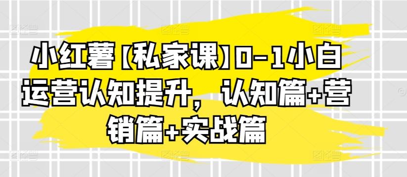 小红薯【私家课】0-1小白运营认知提升，认知篇+营销篇+实战篇-腾渊网创