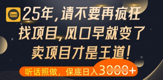 什么？25年你还在疯狂找项目做，醒醒吧，看完这些你全都懂了【揭秘】-腾渊网创