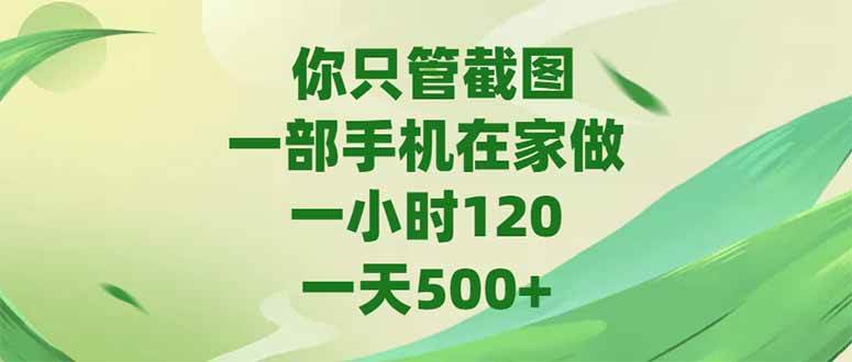 （15039期）你只管截图，一部手机在家做，一小时120，-天500+-腾渊网创