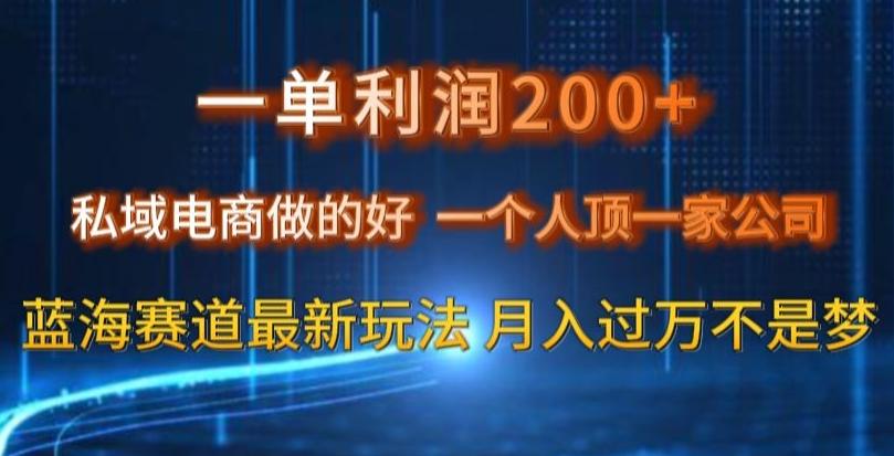 一单利润200私域电商做的好，一个人顶一家公司蓝海赛道最新玩法【揭秘】-腾渊网创