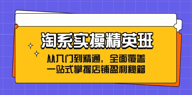 淘系实操精英班：从入门到精通，全面覆盖，一站式掌握店铺盈利秘籍-腾渊网创