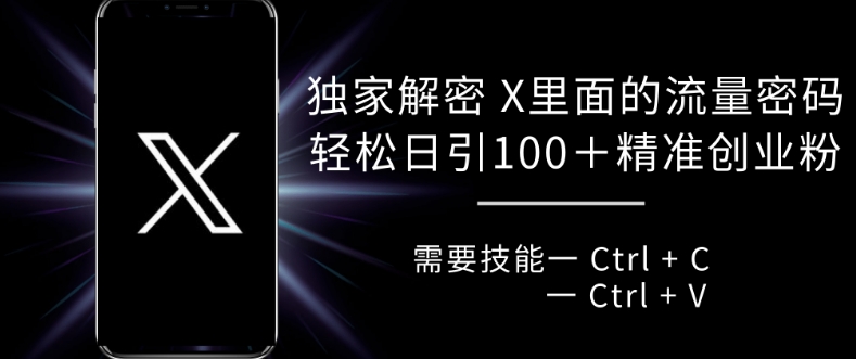 独家解密 X 里面的流量密码，复制粘贴轻松日引100+-腾渊网创