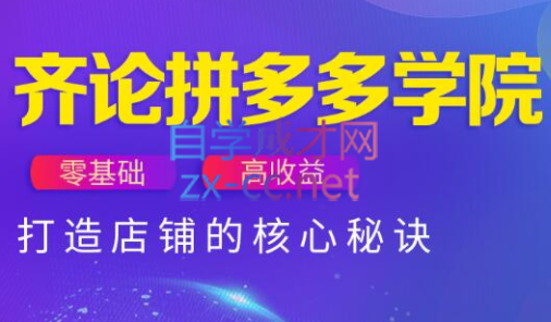 齐论拼多多vip课程-腾渊论坛