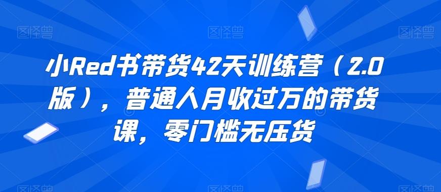 小Red书带货42天训练营(2.0版)，普通人月收过万的带货课，零门槛无压货-腾渊网创