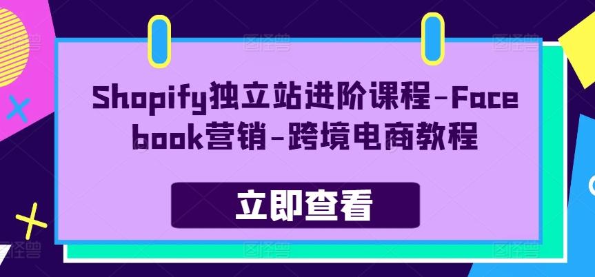 Shopify独立站进阶课程-Facebook营销-跨境电商教程-腾渊论坛