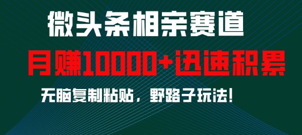 微头条相亲赛道，迅速积累，无脑复制粘贴，野路子玩法，月入1w-腾渊网创