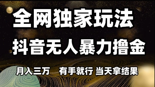 全网独家玩法抖音无人暴力撸金，月入3W，有手就行，当天拿结果【揭秘】-腾渊网创