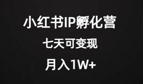 价值2000+的小红书IP孵化营项目，超级大蓝海，七天即可开始变现，稳定月入1W+-腾渊论坛