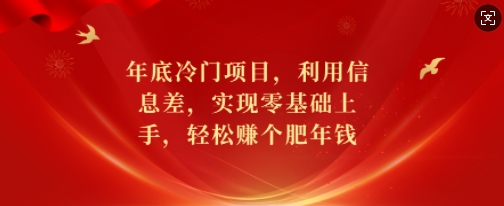 年底冷门项目，利用信息差，实现零基础上手，轻松赚个肥年钱【揭秘】-腾渊网创