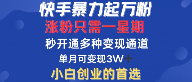快手暴力起万粉，涨粉只需一星期，多种变现模式，直接秒开万合，单月变现过W【揭秘】-腾渊网创
