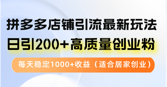 拼多多店铺引流最新玩法，日引200+高质量创业粉，每天稳定1000+收益(...-腾渊网创