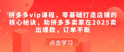 拼多多vip课程，零基础打造店铺的核心秘诀，助拼多多卖家在2025卖出爆款，订单不断-腾渊论坛