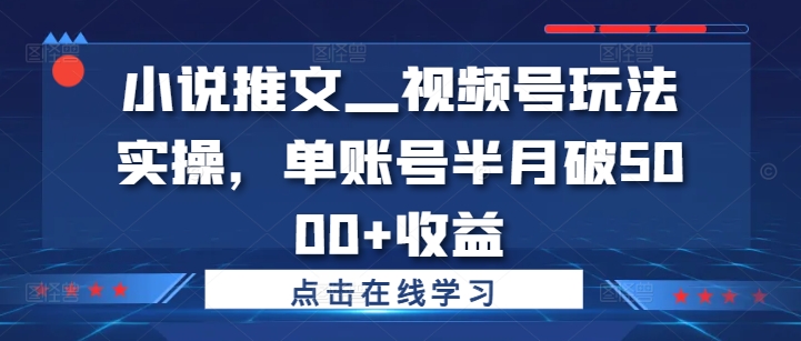 小说推文—视频号玩法实操，单账号半月破5000+收益-腾渊网创