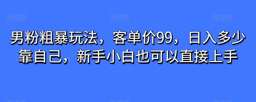 男粉粗暴玩法，客单价99，日入多少靠自己，新手小白也可以直接上手-腾渊论坛