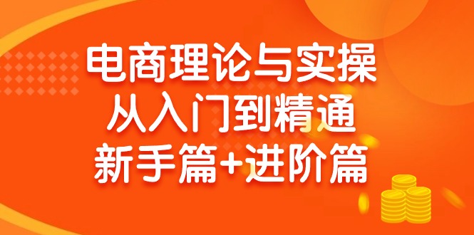 (9576期)电商理论与实操从入门到精通 新手篇+进阶篇-腾渊网创