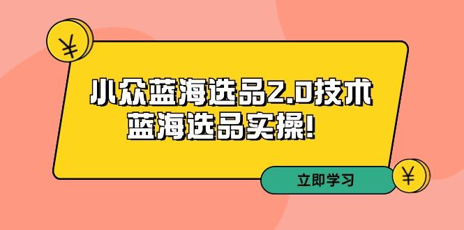 拼多多培训第33期：小众蓝海选品2.0技术-蓝海选品实操！-腾渊网创