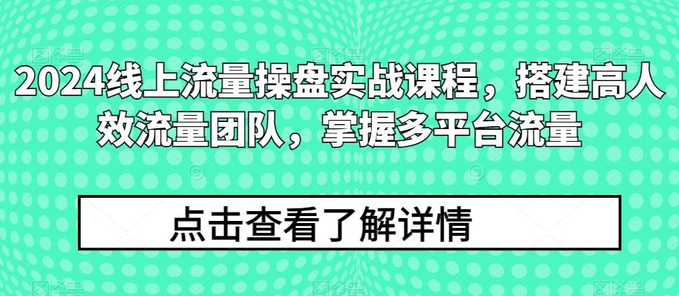 2024线上流量操盘实战课程，搭建高人效流量团队，掌握多平台流量-腾渊论坛