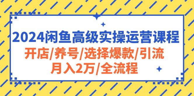 2024闲鱼高级实操运营课程：开店/养号/选择爆款/引流/月入2万/全流程-腾渊网创