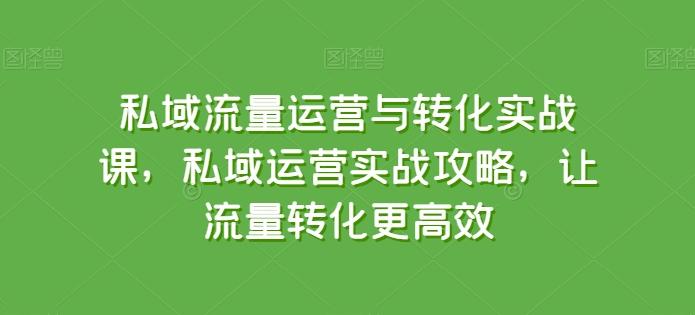 私域流量运营与转化实战课，私域运营实战攻略，让流量转化更高效-腾渊网创