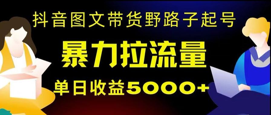 抖音图文带货暴力起号，单日收益5000+，野路子玩法，简单易上手，一部手机即可【揭秘】-腾渊网创