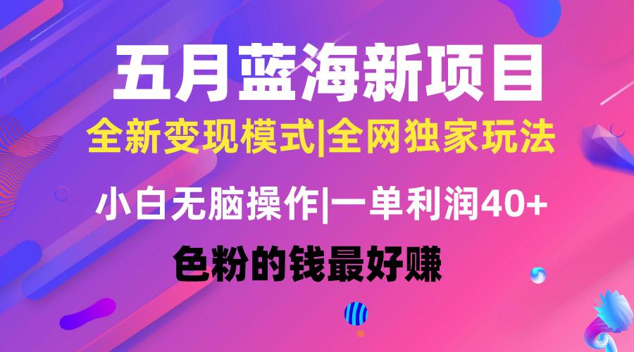 五月蓝海项目全新玩法，小白无脑操作，一天几分钟，矩阵操作，月入4万+-腾渊网创