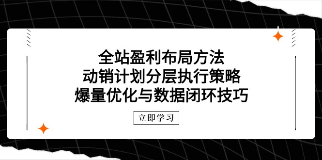 全站盈利布局方法：动销计划分层执行策略，爆量优化与数据闭环技巧-腾渊网创