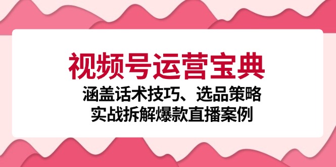 视频号运营宝典：涵盖话术技巧、选品策略、实战拆解爆款直播案例-腾渊网创
