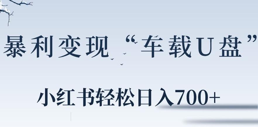 小红书“车载U盘”暴利引流，日入700+-腾渊网创