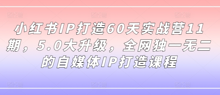 小红书IP打造60天实战营11期，5.0大升级，全网独一无二的自媒体IP打造课程-腾渊网创