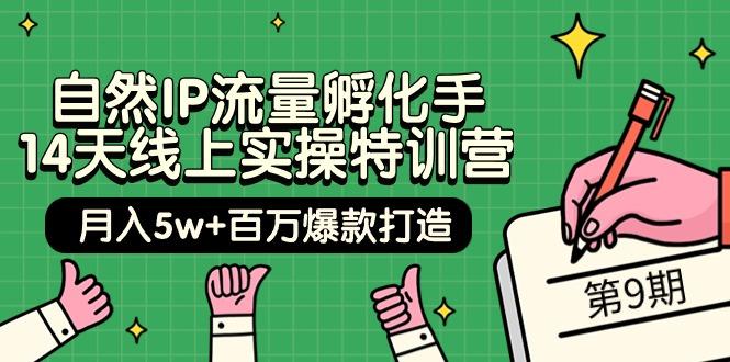 (9881期)自然IP流量孵化手 14天线上实操特训营【第9期】月入5w+百万爆款打造 (74节)-腾渊论坛