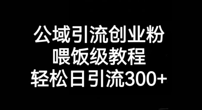 公域引流创业粉，喂饭级教程，轻松日引流300+【揭秘】-腾渊网创