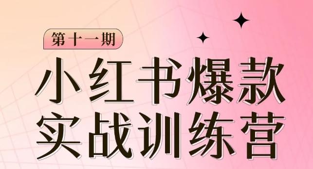 小红书博主爆款训练营第11期，手把手教你从0-1做小红书，从定位到起号到变现-腾渊论坛