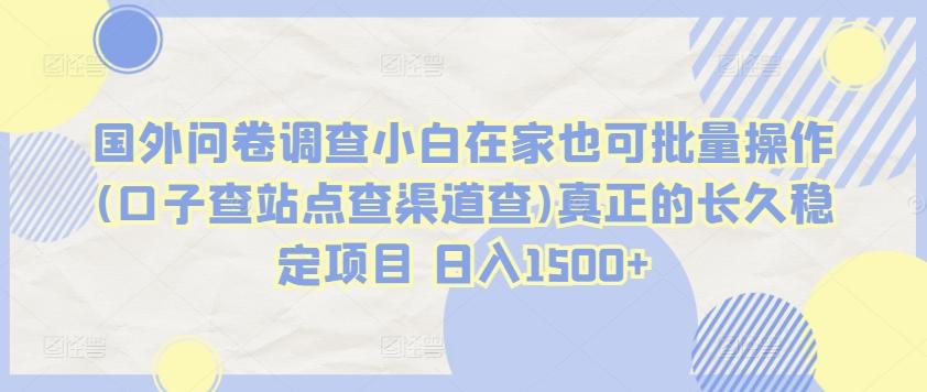 国外问卷调查小白在家也可批量操作(口子查站点查渠道查)真正的长久稳定项目 日入1500+【揭秘】-腾渊论坛