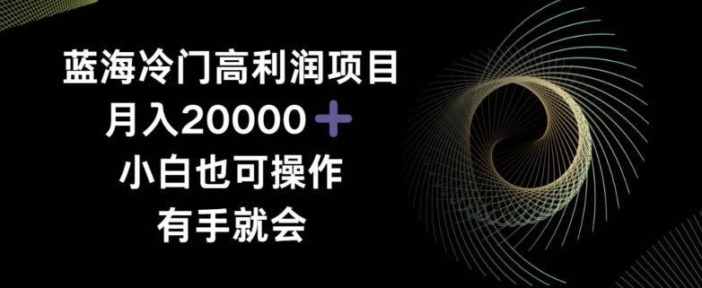 蓝海冷门高利润项目月入2000，小白也可操作有手就会-腾渊网创
