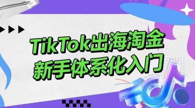 TikTok出海淘金，新手体系化入门，零基础快速入门，掌握短视频、直播带货等引流到变现的知识-腾渊论坛