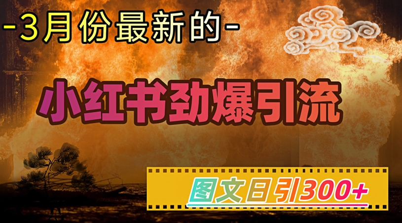 小红书超劲爆引流手段，图文日引300+轻松变现1W-腾渊网创