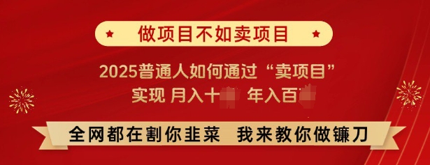 必看，做项目不如卖项目，2025普通人如何通过“卖项目”实现月入十个，年入百个-腾渊网创
