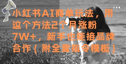 小红书AI商单玩法，用这个方法2个月涨粉7W+，新手也能接品牌合作(附全套指令模板)-腾渊论坛