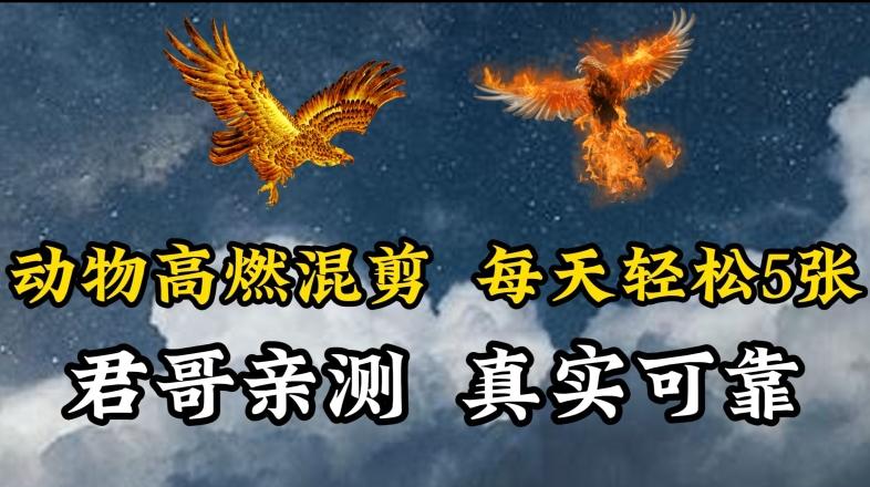 动物超燃混剪，每天轻松5张，剪辑简单大家爱看【揭秘】-腾渊论坛