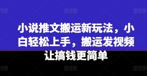 小说推文搬运新玩法，小白轻松上手，搬运发视频让搞钱更简单-腾渊网创
