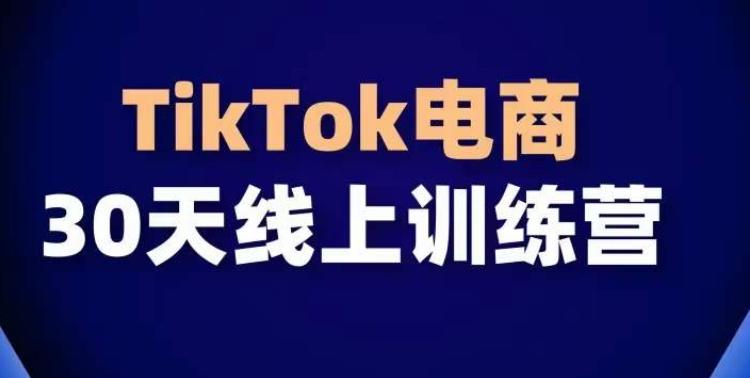 TikTok电商带货30天线上课，不可错过的全球流量洼地！-腾渊网创