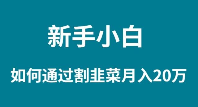 (9308期)新手小白如何通过割韭菜月入 20W-腾渊网创