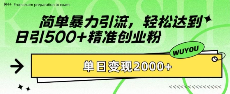 简单暴力引流，轻松达到日引500+精准创业粉，单日变现2k【揭秘】-腾渊网创