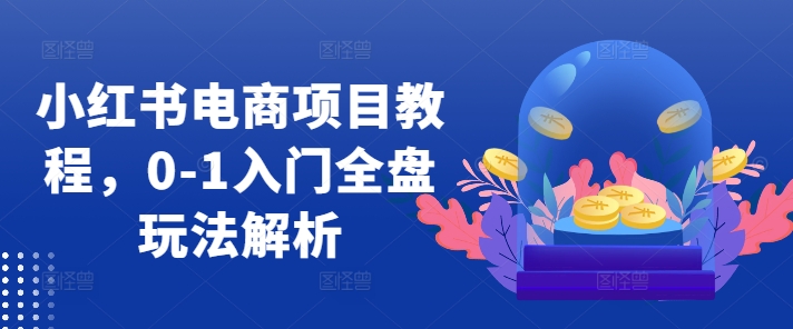 小红书电商项目教程，0-1入门全盘玩法解析-腾渊网创