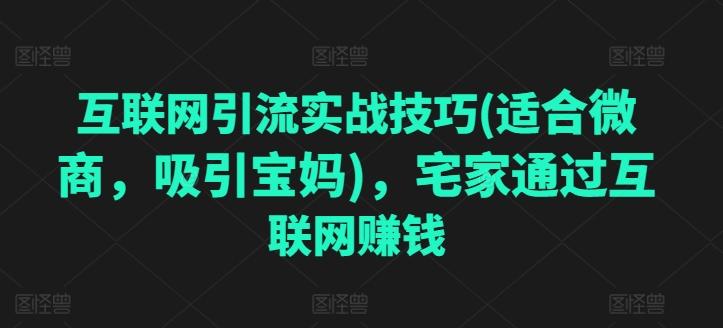 互联网引流实战技巧(适合微商，吸引宝妈)，宅家通过互联网赚钱-腾渊网创