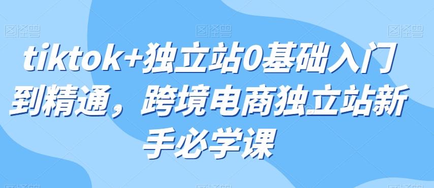 tiktok+独立站0基础入门到精通，跨境电商独立站新手必学课-腾渊论坛