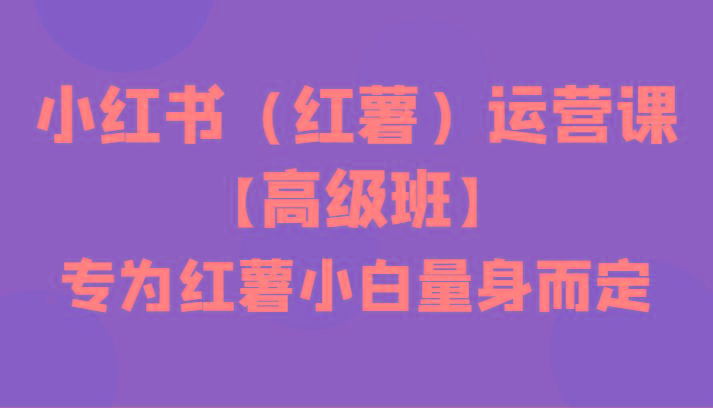 小红书(红薯)运营课【高级班】，专为红薯小白量身而定(42节课)-腾渊网创